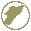 General Overview