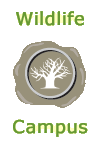WildlifeCampus